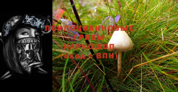 прущая мука Арсеньев